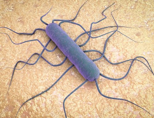 La Unión Europea Refuerza el Control de Listeria en Alimentos Listos para Consumo