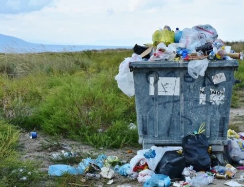 Lo que necesitas saber sobre la nueva Ley de Residuos y Suelos contaminados