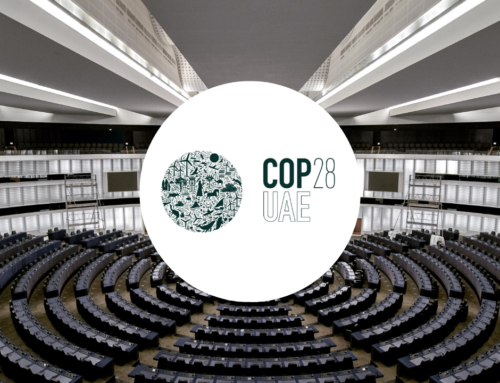 Resumen de la Conferencia de las Partes (COP28)